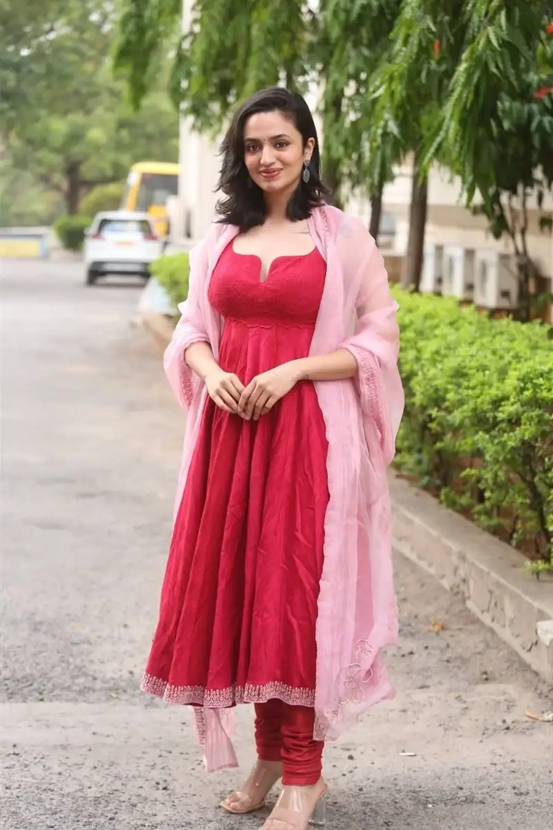 Telugu Actress Malavika Nair at Anni Manchi Sakunamule Movie Thanks Meet